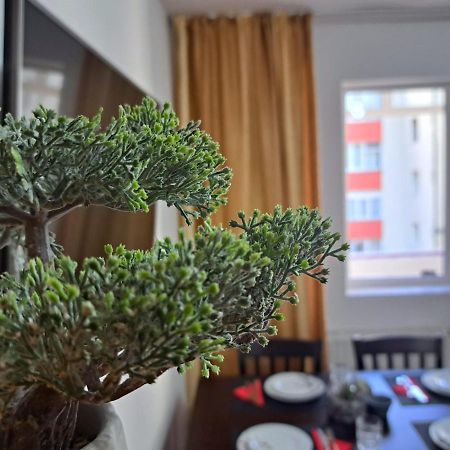 Aviliz Apartament Buşteni エクステリア 写真