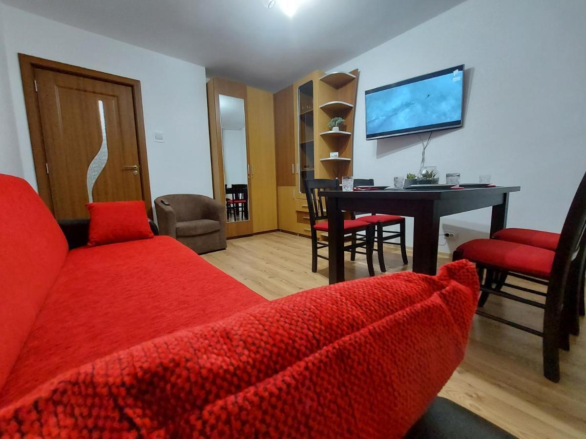 Aviliz Apartament Buşteni エクステリア 写真