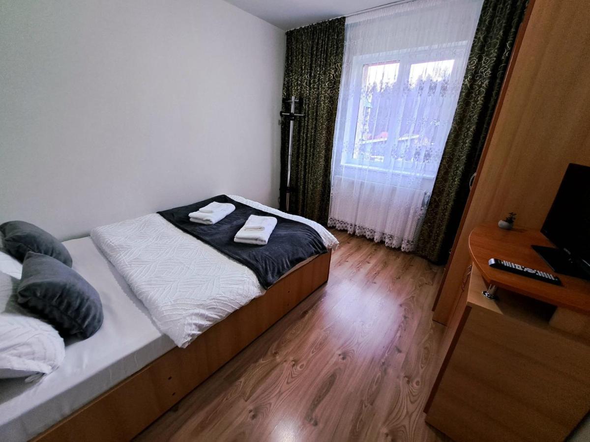 Aviliz Apartament Buşteni エクステリア 写真