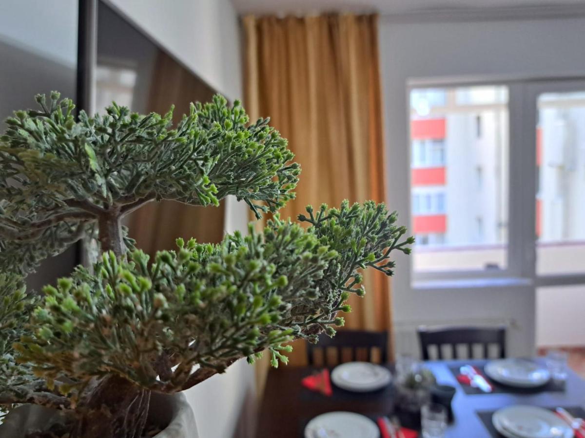 Aviliz Apartament Buşteni エクステリア 写真