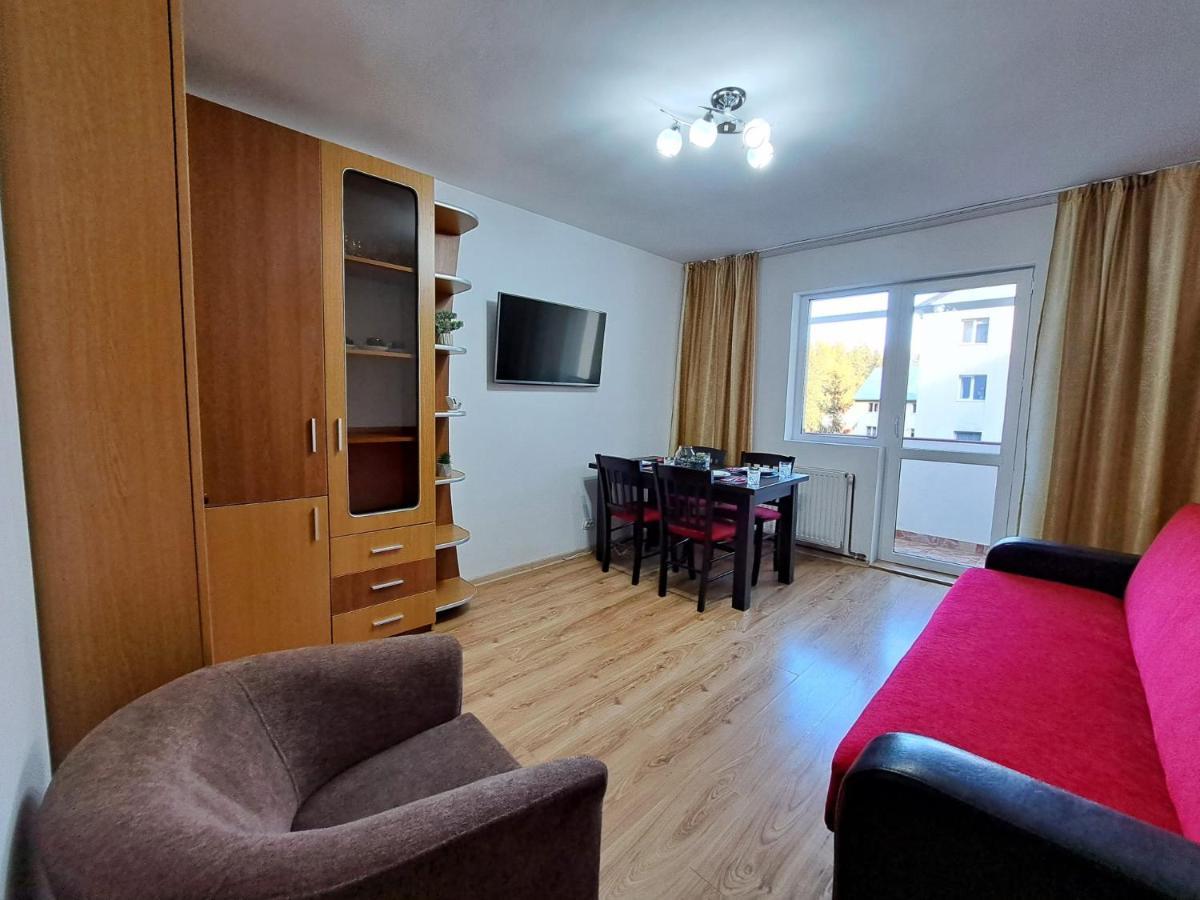 Aviliz Apartament Buşteni エクステリア 写真