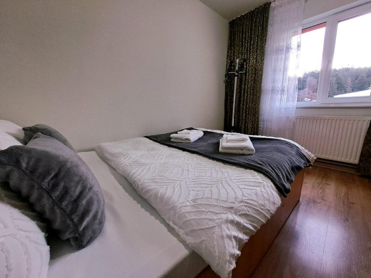 Aviliz Apartament Buşteni エクステリア 写真