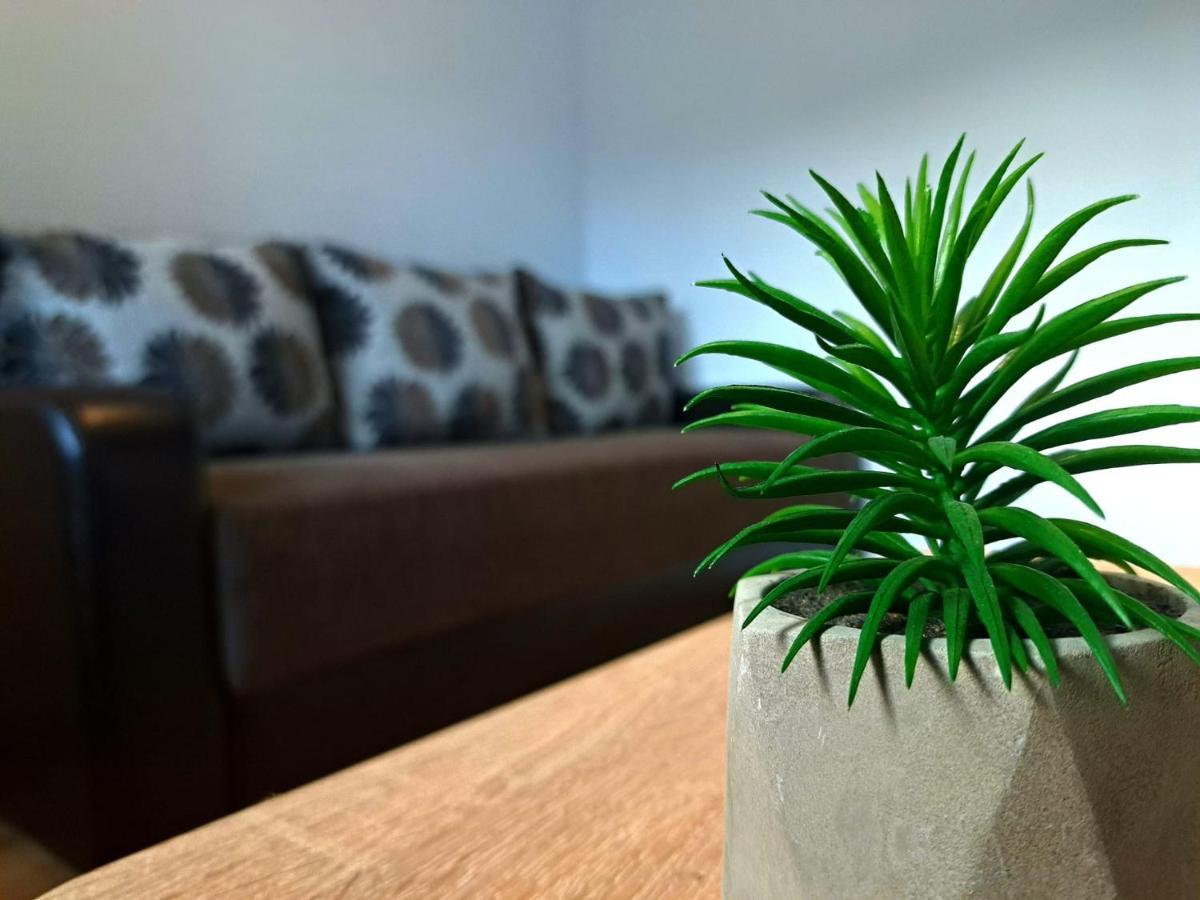 Aviliz Apartament Buşteni エクステリア 写真
