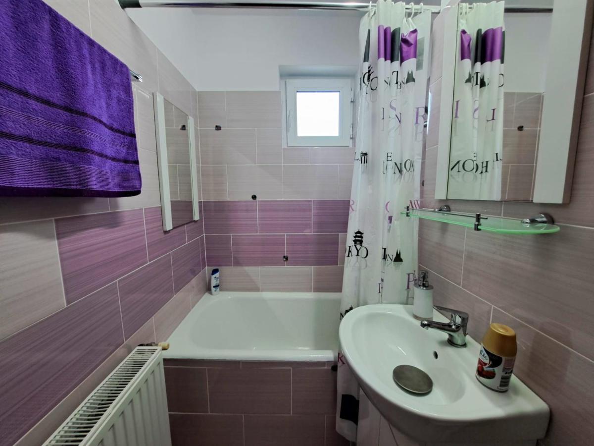 Aviliz Apartament Buşteni エクステリア 写真