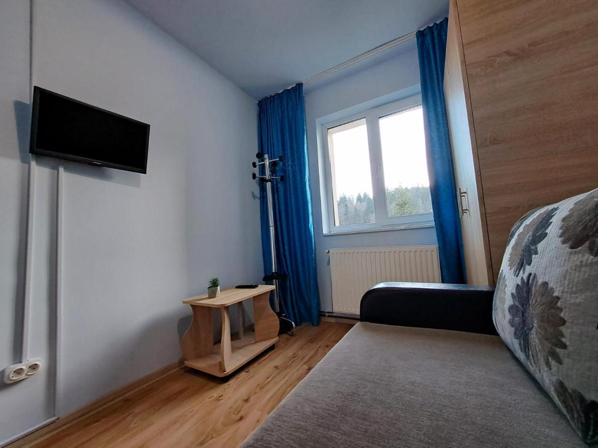 Aviliz Apartament Buşteni エクステリア 写真