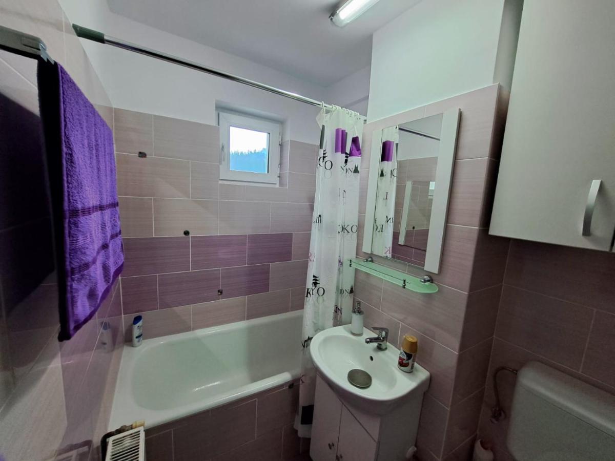 Aviliz Apartament Buşteni エクステリア 写真