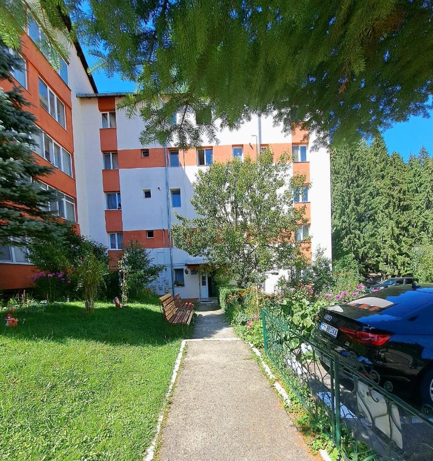 Aviliz Apartament Buşteni エクステリア 写真