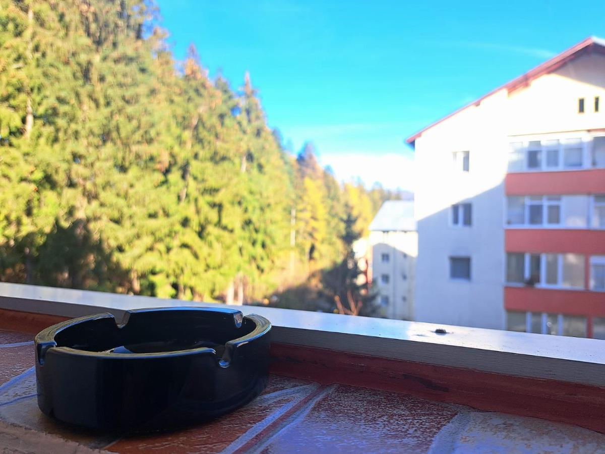 Aviliz Apartament Buşteni エクステリア 写真