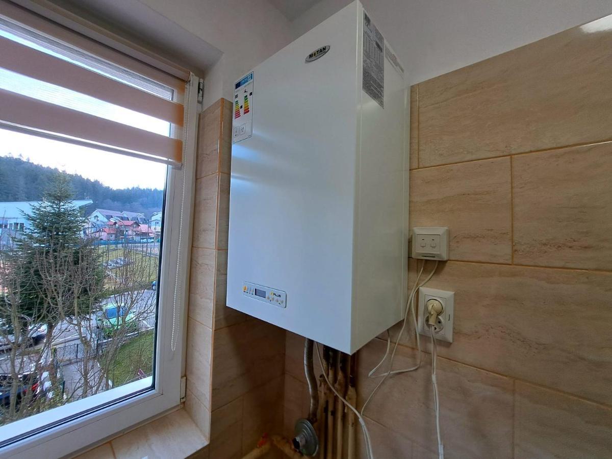 Aviliz Apartament Buşteni エクステリア 写真