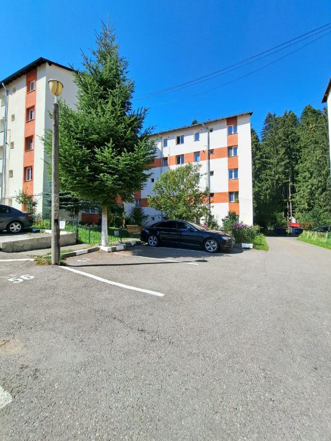 Aviliz Apartament Buşteni エクステリア 写真