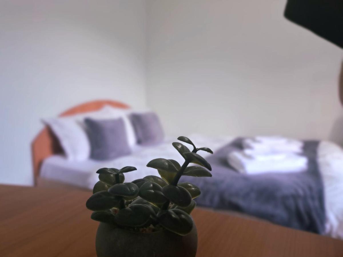 Aviliz Apartament Buşteni エクステリア 写真