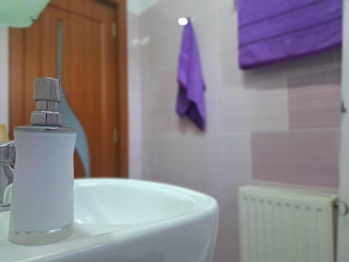 Aviliz Apartament Buşteni エクステリア 写真